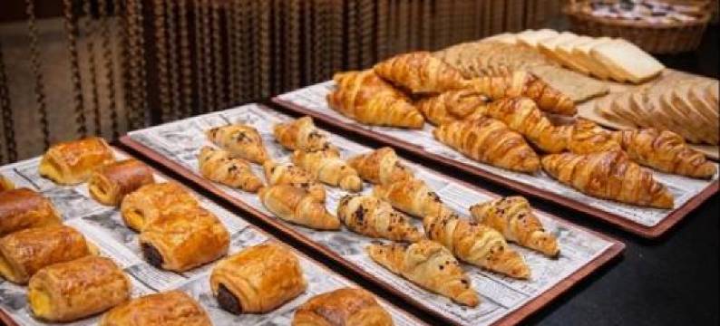 Hotel Amaltea by Executive Sport图片