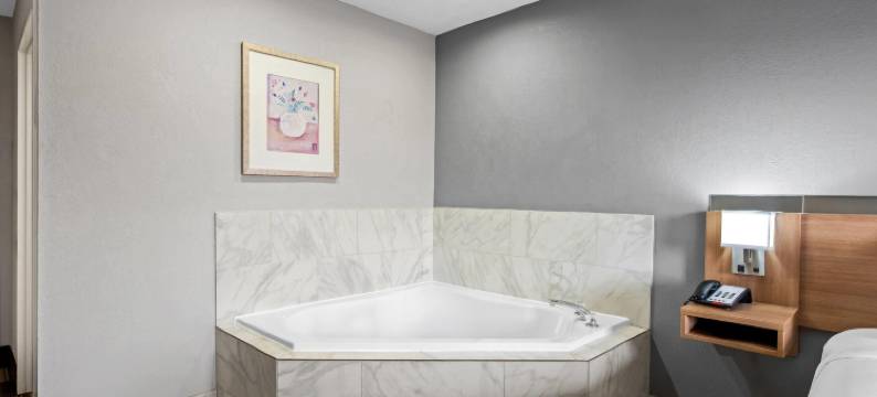 斯泰茨维尔温德姆麦客达套房酒店(Microtel Inn & Suites by Wyndham Statesville)图片