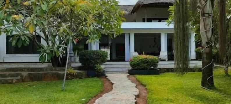 白色尼翁巴马林迪(White Nyumba)图片