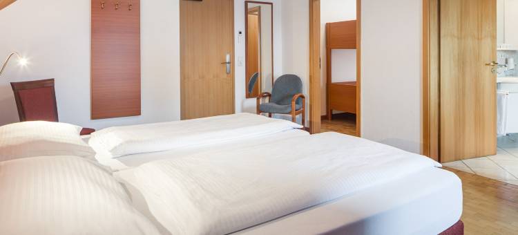 加尔默斯加滕智能酒店(Smarthotel Gallmersgarten)图片