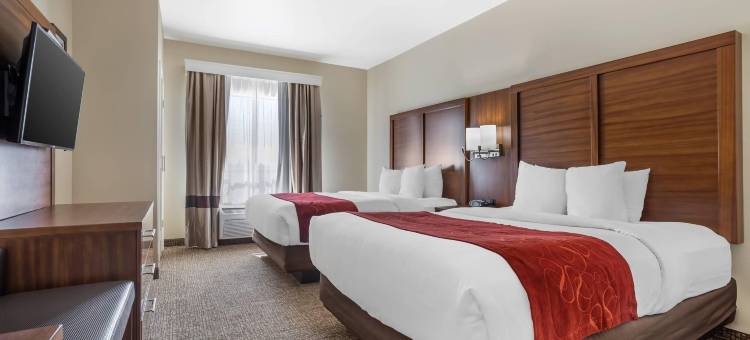 老城斯普林舒适全套房酒店(Comfort Suites Old Town Spring)图片