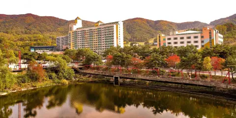 Welli Hilli公園度假村