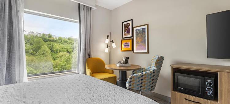 匹兹堡-梅多兰兹希尔顿欢朋酒店(Hampton Inn & Suites Pittsburgh-Meadow Lands)图片