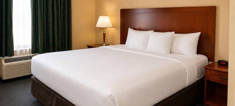 舒适酒店及套房大使桥(Comfort Inn & Suites Ambassador Bridge)图片