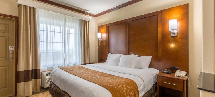 加尔维斯顿舒适套房酒店(Comfort Suites)图片