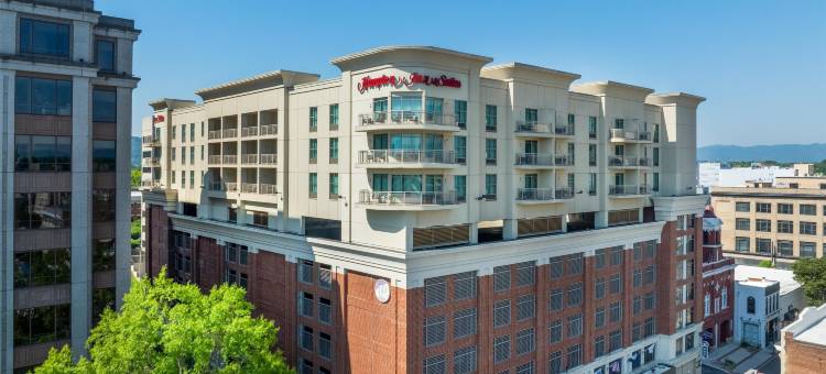 欢朋酒店 - 弗吉尼亚州罗阿诺克市中心(Hampton Inn & Suites Roanoke Downtown)图片