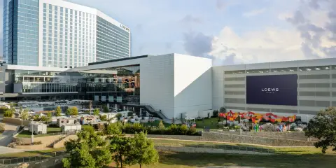 洛厄斯阿靈頓酒店