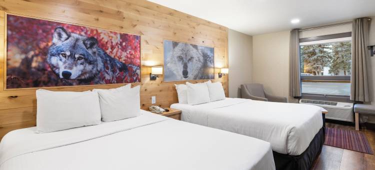 班福洛基山度假村(Banff Rocky Mountain Resort)图片