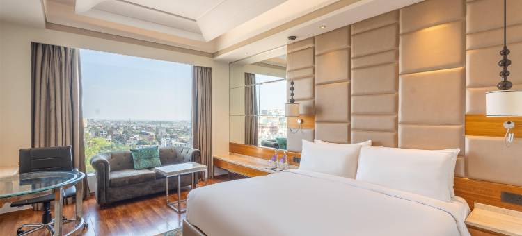 查漠丽笙酒店(Radisson Blu Jammu)图片