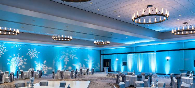 达拉斯沃斯堡机场威斯汀酒店(The Westin Dallas Fort Worth Airport)图片