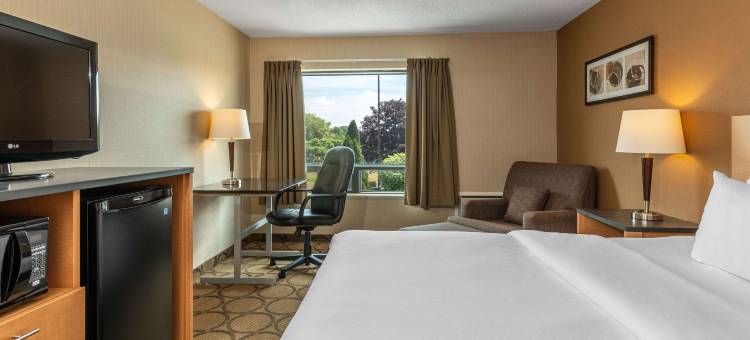 卡普斯卡辛舒适酒店(Comfort Inn)图片