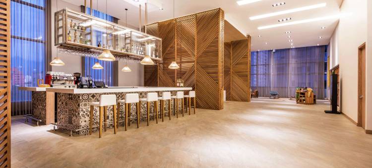 圣马尔塔希尔顿花园酒店(Hilton Garden Inn Santa Marta)图片