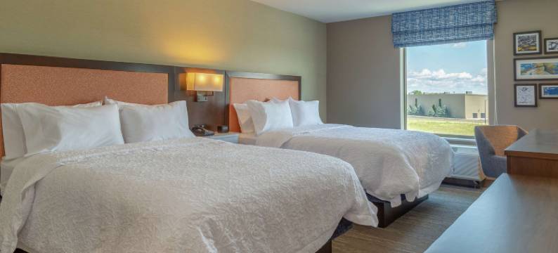 布尔博奈坎卡基希尔顿欢朋酒店(Hampton Inn by Hilton Bourbonnais/Kankakee)图片