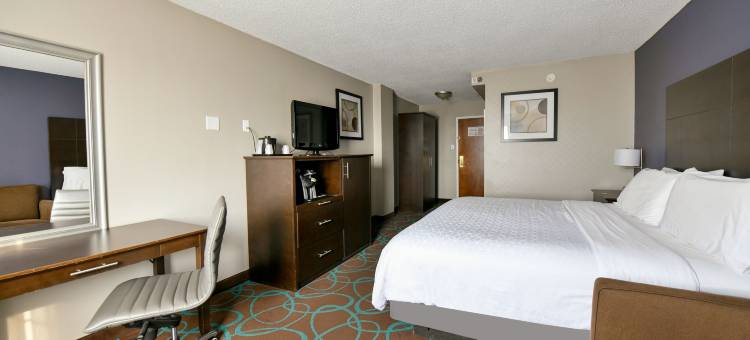 Holiday Inn 尼亚加拉瀑布(Holiday Inn Niagara Falls State Park Entry)图片