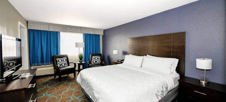 Holiday Inn 尼亚加拉瀑布(Holiday Inn Niagara Falls State Park Entry)图片