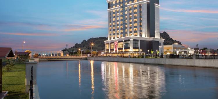 阿菲永卡拉希萨尔希尔顿逸林酒店(DoubleTree by Hilton Afyonkarahisar)图片