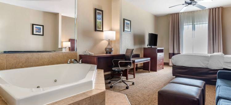 舒适酒店及套房(Comfort Inn & Suites)图片