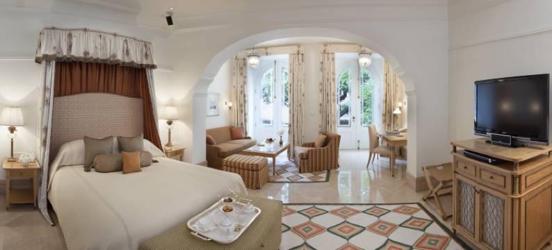 泰姬法拉克奴玛宫酒店(Taj Falaknuma Palace)图片