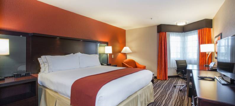 南帕洛阿尔托山景智选假日酒店(Holiday Inn Express MOUNTAIN VIEW - S PALO ALTO by IHG)图片
