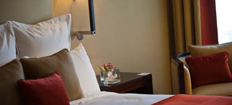 万丽酒店-特莱姆森(Renaissance Tlemcen Hotel)图片