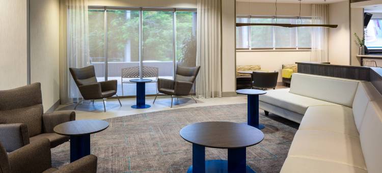 迈阿密市中心/医疗中心万豪SpringHill酒店(SpringHill Suites Miami Downtown/Medical Center)图片