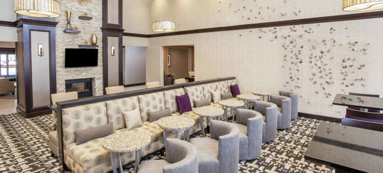 Homewood Suites by Hilton-蒙斯特(Homewood Suites by Hilton Munster)图片
