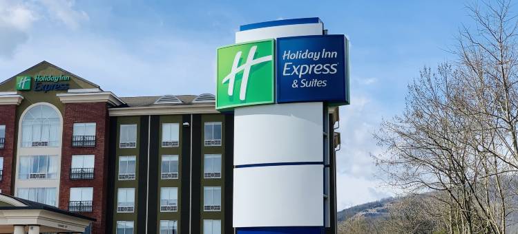 智选假日套房酒店查塔努加，望风MTN(Holiday Inn Express & Suites Chattanooga-Lookout Mtn)图片