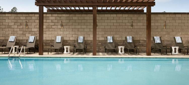 阿尔普哈雷塔亚特兰大希尔顿酒店(Hilton Alpharetta Atlanta)图片