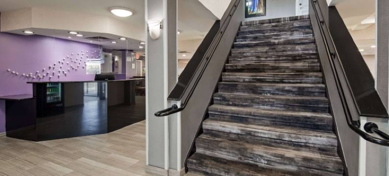 贝斯特韦斯特帕拉默斯酒店及套房(Best Western Paramus Hotel  Suites)图片