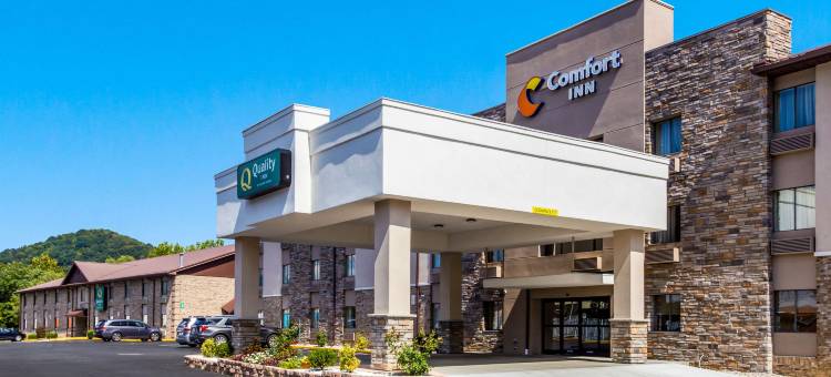 舒适酒店(Comfort Inn)图片