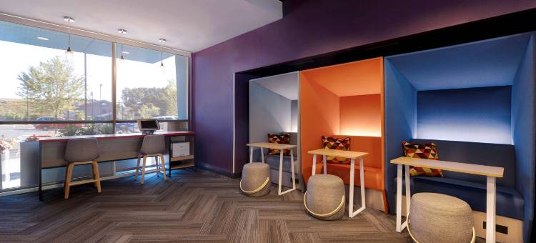 佐治亚州亚特兰大广场棒球场希尔顿特鲁酒店(Tru by Hilton Atlanta Galleria Ballpark)图片