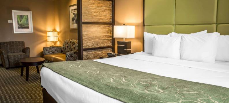 新伯尔尼和樱桃角舒适套房酒店(Comfort Suites New Bern Near Cherry Point)图片