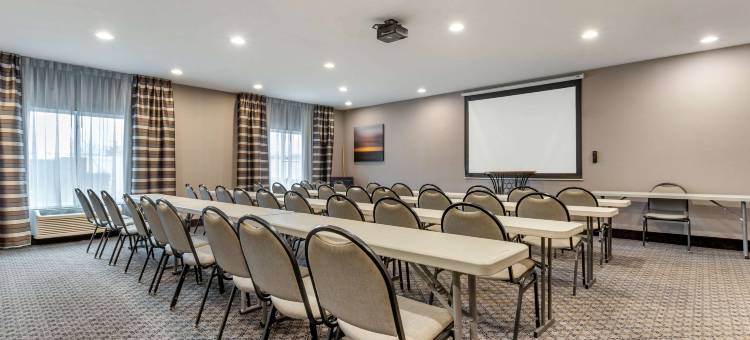 底特律绍斯盖特舒适套房(Comfort Suites Southgate-Detroit)图片