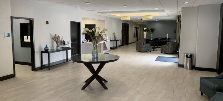 智选假日套房酒店何尔摩沙海滩(Holiday Inn Express & Suites Hermosa Beach)图片