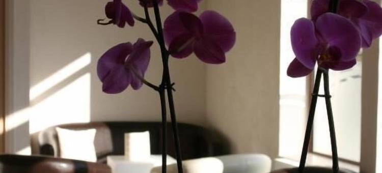 贝尔地平线酒店(Hotel Bel Horizon)图片