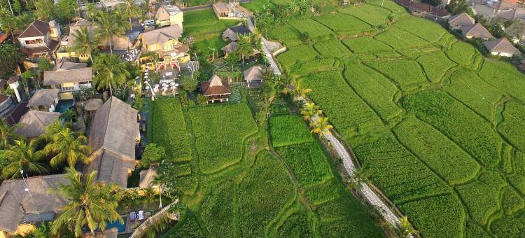 瓦卡迪尤美乌布酒店(Wapa di Ume Ubud)图片