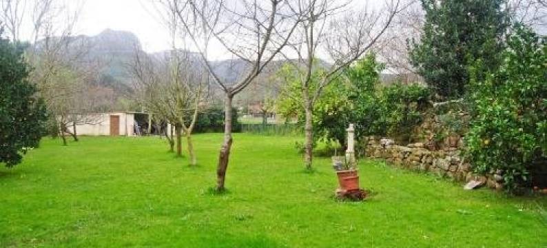 穆古索旅舍(Albergue El Musgoso)图片