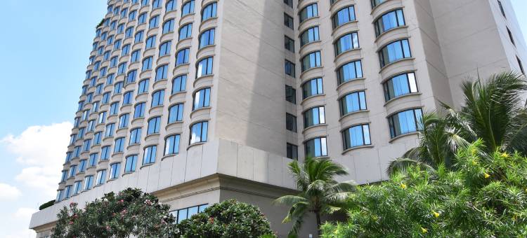 世纪公园酒店(Century Park Hotel)图片