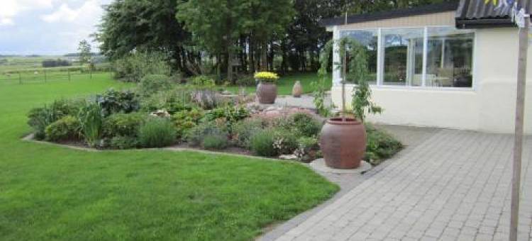 Bakkegården Homestay图片