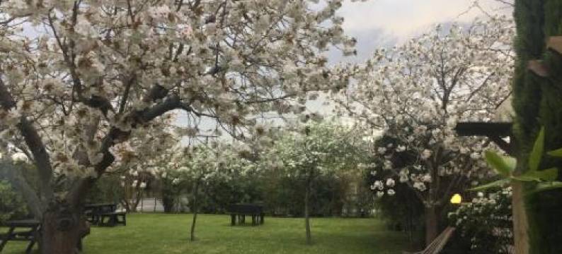 比诺别墅酒店(Pinot Villas)图片