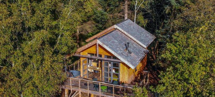EuroParcs 鲁嫩(EuroParcs Ruinen)图片