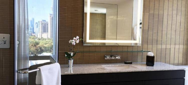多伦多X睿智集团酒店(Hotel X Toronto, a Destination by Hyatt Hotel)图片