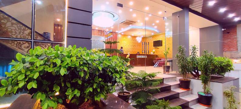 阿拉德纳酒店(Hotel Aradhna Inn)图片