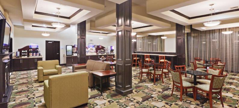 智选假日套房酒店布朗菲尔德(Holiday Inn Express & Suites BROWNFIELD by IHG)图片