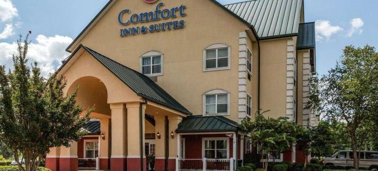 舒适套房酒店(Comfort Inn & Suites)图片