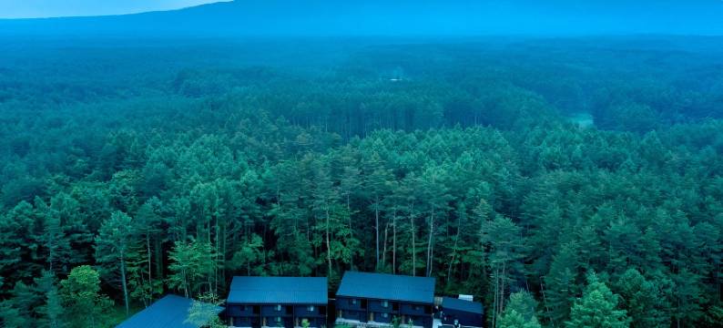 乐天住宿VILLA 富士河口湖森(Rakuten STAY VILLA Fuji Kawaguchiko Forest)图片