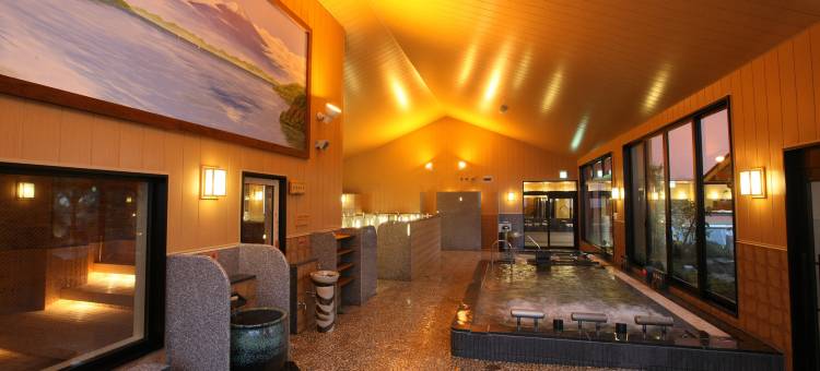 Palace Inn丰田酒店(Palace Inn Toyota)图片