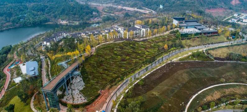 东部新区子归苑酒店图片