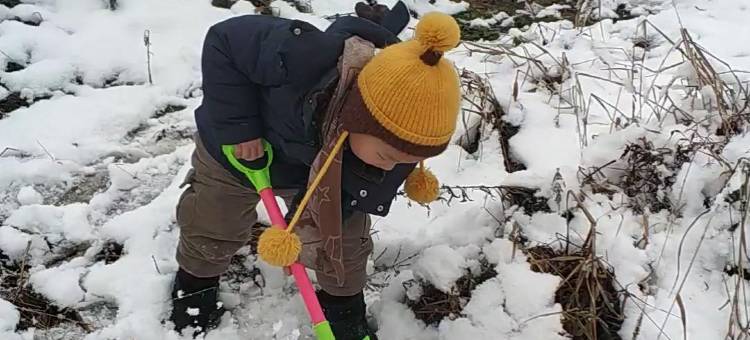 都江堰凤栖印象农家院图片