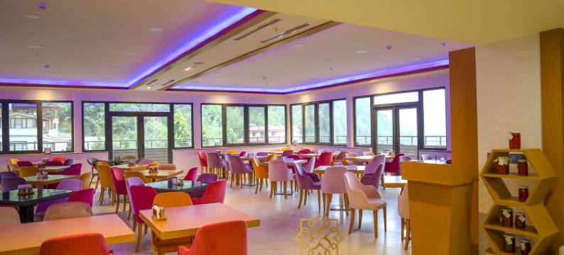 乌尊格尔金色酒店(Golden Inn Hotel Uzungöl)图片